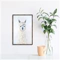 Picture of White Llama _GroupedProduct_Rectangle_Portrait_Canvas_Framed_