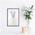 Picture of White Llama _GroupedProduct_Rectangle_Portrait_Canvas_Framed_