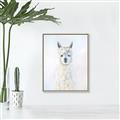 Picture of White Llama _GroupedProduct_Rectangle_Portrait_Canvas_Framed_