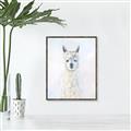 Picture of White Llama _GroupedProduct_Rectangle_Portrait_Canvas_Framed_