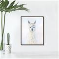 Picture of White Llama _GroupedProduct_Rectangle_Portrait_Canvas_Framed_