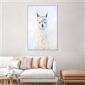 Picture of White Llama _GroupedProduct_Rectangle_Portrait_Canvas_Framed_