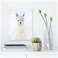 Picture of White Llama _GroupedProduct_Rectangle_Portrait_Unframed_Print_Only_
