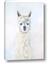 Picture of White Llama