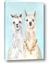 Picture of Friendly Llamas