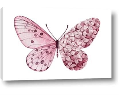 Picture of Pink Butterfly