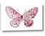 Picture of Pink Butterfly