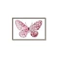 Picture of Pink Butterfly _GroupedProduct_Rectangle_Landscape_Canvas_Framed_