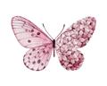 Picture of Pink Butterfly _GroupedProduct_Rectangle_Landscape_Unframed_Print_Only_