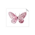 Picture of Pink Butterfly _GroupedProduct_Rectangle_Landscape_Unframed_Print_Only_