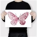 Picture of Pink Butterfly _GroupedProduct_Rectangle_Landscape_Canvas_