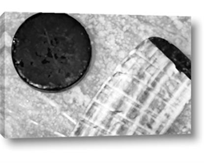 Picture of Hockey Puck