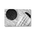 Picture of Hockey Puck _GroupedProduct_Rectangle_Landscape_Mini_ _GroupedProduct_Rectangle_Landscape_Canvas_