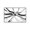 Picture of Hockey Sticks _GroupedProduct_Rectangle_Landscape_Mini_ _GroupedProduct_Rectangle_Landscape_Canvas_Framed_