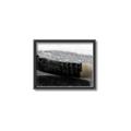 Picture of Face Off _GroupedProduct_Rectangle_Landscape_Mini_ _GroupedProduct_Rectangle_Landscape_Canvas_Framed_
