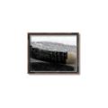 Picture of Face Off _GroupedProduct_Rectangle_Landscape_Mini_ _GroupedProduct_Rectangle_Landscape_Canvas_Framed_