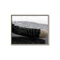 Picture of Face Off _GroupedProduct_Rectangle_Landscape_Mini_ _GroupedProduct_Rectangle_Landscape_Canvas_Framed_