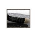 Picture of Face Off _GroupedProduct_Rectangle_Landscape_Mini_ _GroupedProduct_Rectangle_Landscape_Canvas_Framed_
