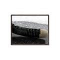 Picture of Face Off _GroupedProduct_Rectangle_Landscape_Mini_ _GroupedProduct_Rectangle_Landscape_Canvas_Framed_