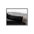 Picture of Face Off _GroupedProduct_Rectangle_Landscape_Mini_ _GroupedProduct_Rectangle_Landscape_Canvas_Framed_