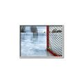 Picture of Red and White Hockey Goal _GroupedProduct_Rectangle_Landscape_Mini_ _GroupedProduct_Rectangle_Landscape_Canvas_Framed_