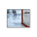 Picture of Red and White Hockey Goal _GroupedProduct_Rectangle_Landscape_Mini_ _GroupedProduct_Rectangle_Landscape_Canvas_Framed_