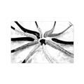Picture of Hockey Sticks _GroupedProduct_Rectangle_Landscape_Mini_ _GroupedProduct_Rectangle_Landscape_Unframed_Print_Only_