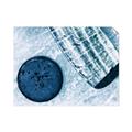Picture of Hockey Stick and Puck _GroupedProduct_Rectangle_Landscape_Mini_ _GroupedProduct_Rectangle_Landscape_Unframed_Print_Only_
