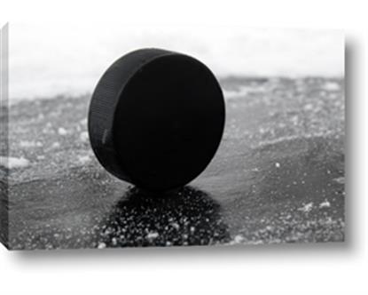 Picture of Rolling Puck 