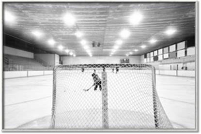 Picture of Behind the Net