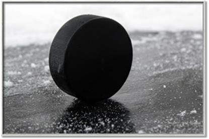 Picture of Rolling Puck 