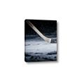 Picture of Hockey Stick Diptych II  _GroupedProduct_Rectangle_Portrait_Mini_ _GroupedProduct_Rectangle_Portrait_Canvas_