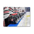 Picture of Hockey Lineup  _GroupedProduct_Rectangle_Landscape_Mini_ _GroupedProduct_Rectangle_Landscape_Canvas_
