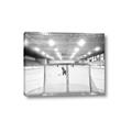 Picture of Behind the Net _GroupedProduct_Rectangle_Landscape_Mini_ _GroupedProduct_Rectangle_Landscape_Canvas_