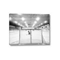 Picture of Behind the Net _GroupedProduct_Rectangle_Landscape_Mini_ _GroupedProduct_Rectangle_Landscape_Canvas_