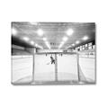 Picture of Behind the Net _GroupedProduct_Rectangle_Landscape_Mini_ _GroupedProduct_Rectangle_Landscape_Canvas_