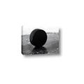 Picture of Rolling Puck  _GroupedProduct_Rectangle_Landscape_Mini_ _GroupedProduct_Rectangle_Landscape_Canvas_