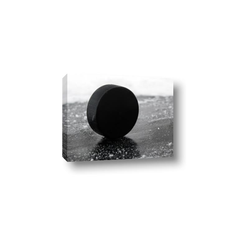 Picture of Rolling Puck  _GroupedProduct_Rectangle_Landscape_Mini_ _GroupedProduct_Rectangle_Landscape_Canvas_