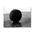 Picture of Rolling Puck  _GroupedProduct_Rectangle_Landscape_Mini_ _GroupedProduct_Rectangle_Landscape_Canvas_
