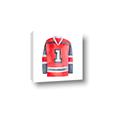 Picture of Hockey Jersey  _GroupedProduct_Square_Mini_ _GroupedProduct_Square_Canvas_