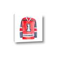 Picture of Hockey Jersey  _GroupedProduct_Square_Mini_ _GroupedProduct_Square_Canvas_