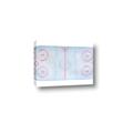 Picture of Ariel View of Rink  _GroupedProduct_Rectangle_Landscape_Mini_ _GroupedProduct_Rectangle_Landscape_Canvas_