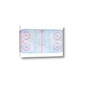 Picture of Ariel View of Rink  _GroupedProduct_Rectangle_Landscape_Mini_ _GroupedProduct_Rectangle_Landscape_Canvas_