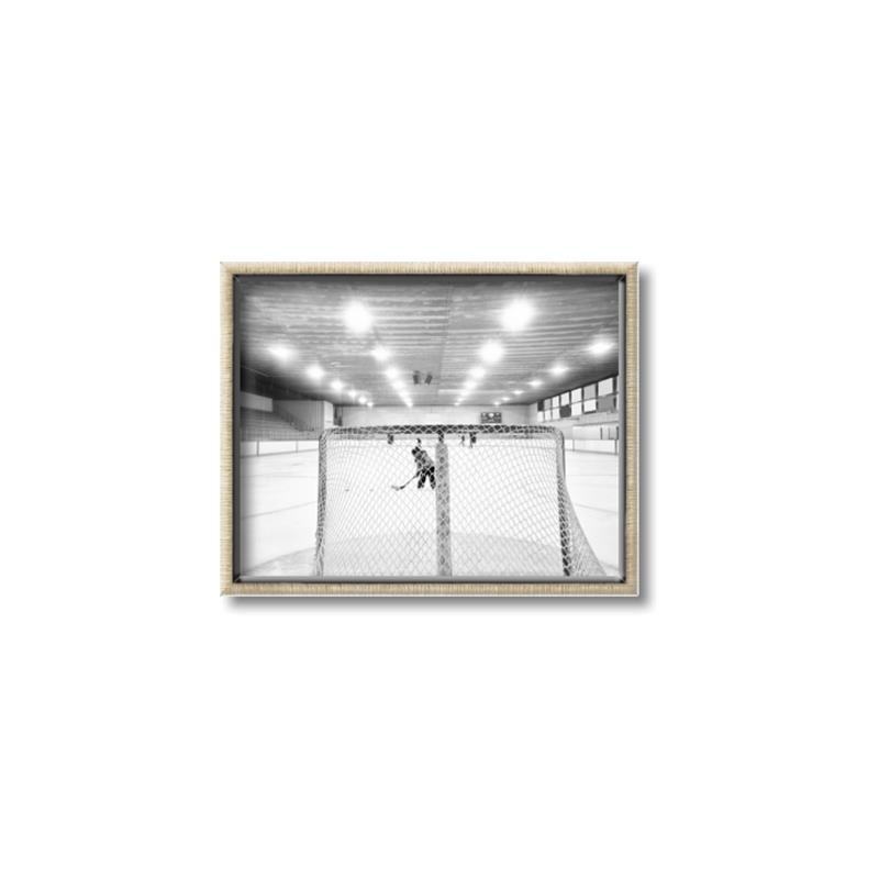 Picture of Behind the Net _GroupedProduct_Rectangle_Landscape_Mini_ _GroupedProduct_Rectangle_Landscape_Canvas_Framed_