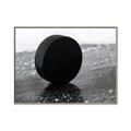 Picture of Rolling Puck  _GroupedProduct_Rectangle_Landscape_Mini_ _GroupedProduct_Rectangle_Landscape_Canvas_Framed_