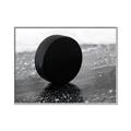 Picture of Rolling Puck  _GroupedProduct_Rectangle_Landscape_Mini_ _GroupedProduct_Rectangle_Landscape_Canvas_Framed_