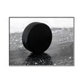 Picture of Rolling Puck  _GroupedProduct_Rectangle_Landscape_Mini_ _GroupedProduct_Rectangle_Landscape_Canvas_Framed_
