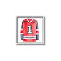 Picture of Hockey Jersey  _GroupedProduct_Square_Mini_ _GroupedProduct_Square_Canvas_Framed_