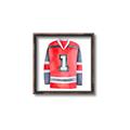 Picture of Hockey Jersey  _GroupedProduct_Square_Mini_ _GroupedProduct_Square_Canvas_Framed_