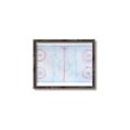 Picture of Ariel View of Rink  _GroupedProduct_Rectangle_Landscape_Mini_ _GroupedProduct_Rectangle_Landscape_Canvas_Framed_